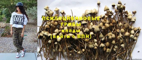 бутират Ельня