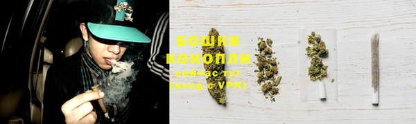 тгк Елабуга