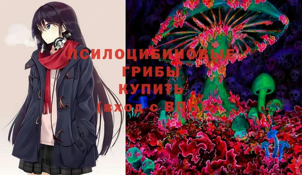 Альфа ПВП Елизово