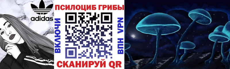 Купить  Котельнич  Псилоцибиновые грибы Magic Shrooms 